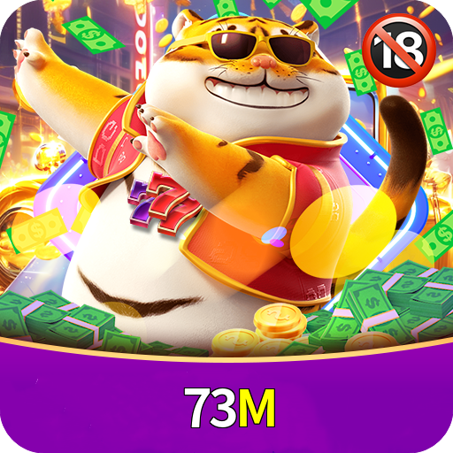  73M